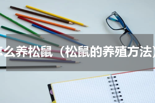 怎么养松鼠（松鼠的养殖方法）