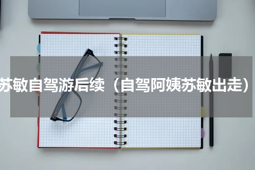 苏敏自驾游后续（自驾阿姨苏敏出走）