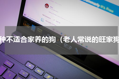 五种不适合家养的狗（老人常说的旺家狗）