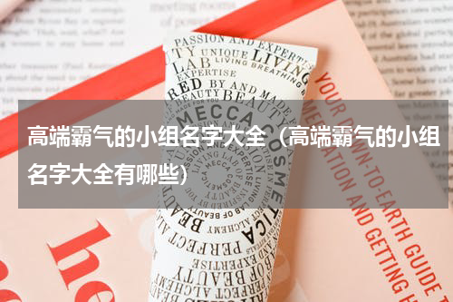 高端霸气的小组名字大全（高端霸气的小组名字大全有哪些）