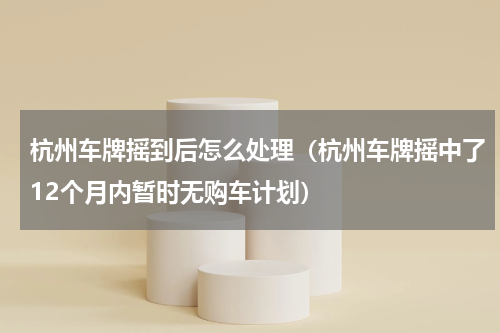 杭州车牌摇到后怎么处理（杭州车牌摇中了12个月内暂时无购车计划）