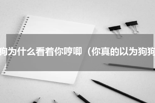 狗狗为什么看着你哼唧（你真的以为狗狗）
