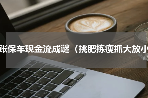 弃账保车现金流成谜（挑肥拣瘦抓大放小）