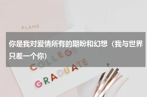 你是我对爱情所有的期盼和幻想（我与世界只差一个你）