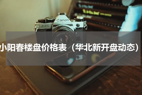小阳春楼盘价格表（华北新开盘动态）