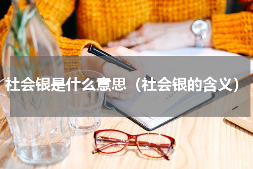 社会银是什么意思（社会银的含义）