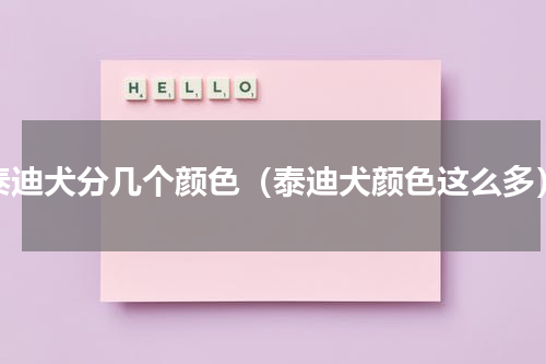 泰迪犬分几个颜色（泰迪犬颜色这么多）