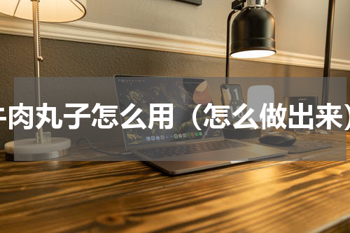 牛肉丸子怎么用（怎么做出来）