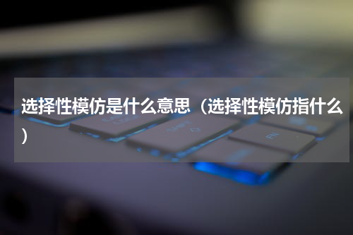 选择性模仿是什么意思（选择性模仿指什么）