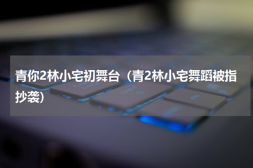 青你2林小宅初舞台（青2林小宅舞蹈被指抄袭）