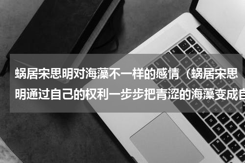 蜗居宋思明对海藻不一样的感情（蜗居宋思明通过自己的权利一步步把青涩的海藻变成自己的小三）