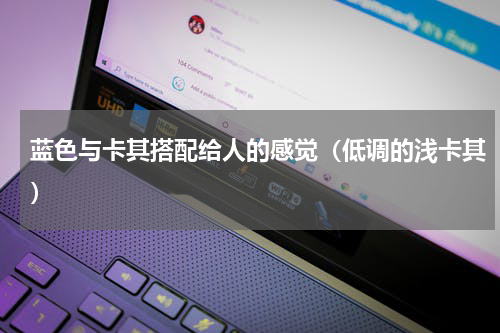 蓝色与卡其搭配给人的感觉（低调的浅卡其）