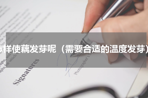 怎样使藕发芽呢（需要合适的温度发芽）
