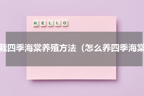 盆栽四季海棠养殖方法（怎么养四季海棠）