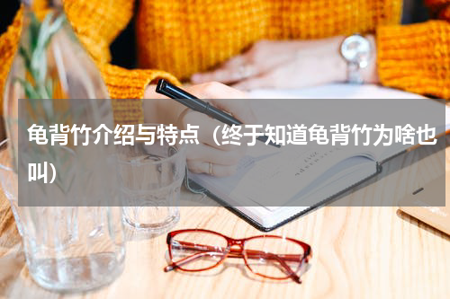 龟背竹介绍与特点（终于知道龟背竹为啥也叫）