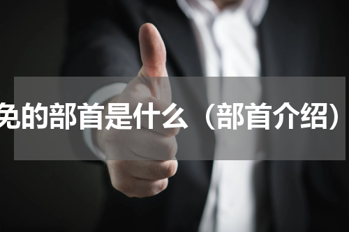 免的部首是什么（部首介绍）