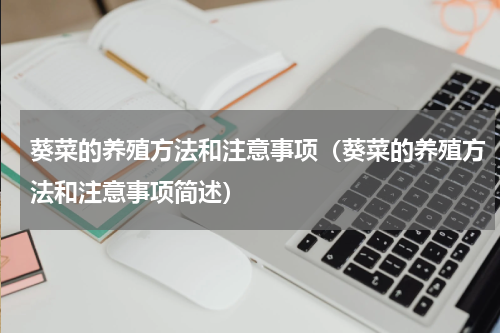 葵菜的养殖方法和注意事项（葵菜的养殖方法和注意事项简述）