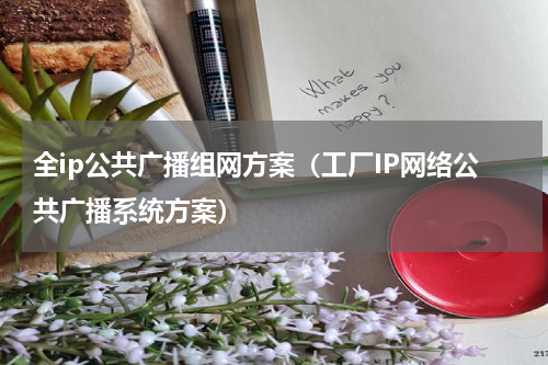 全ip公共广播组网方案（工厂IP网络公共广播系统方案）