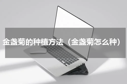金盏菊的种植方法（金盏菊怎么种）