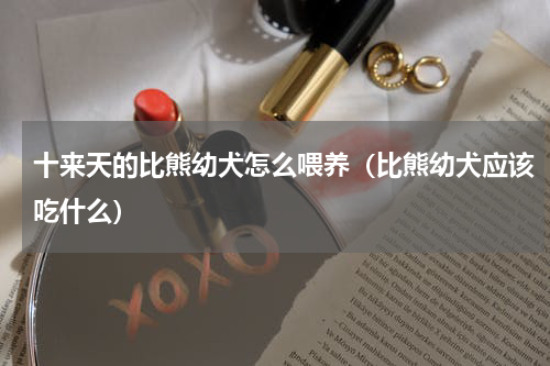 十来天的比熊幼犬怎么喂养（比熊幼犬应该吃什么）