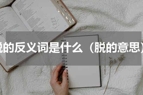 脱的反义词是什么（脱的意思）