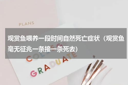 观赏鱼喂养一段时间自然死亡症状（观赏鱼毫无征兆一条接一条死去）
