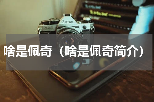 啥是佩奇（啥是佩奇简介）