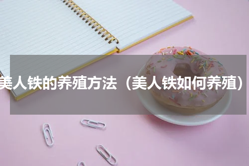 美人铁的养殖方法（美人铁如何养殖）