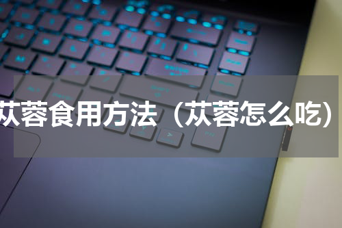 苁蓉食用方法（苁蓉怎么吃）