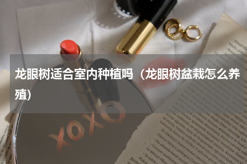 龙眼树适合室内种植吗（龙眼树盆栽怎么养殖）