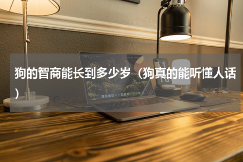 狗的智商能长到多少岁（狗真的能听懂人话）