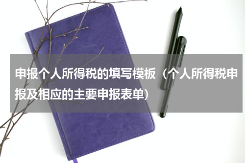 申报个人所得税的填写模板（个人所得税申报及相应的主要申报表单）