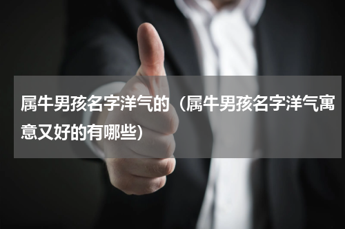 属牛男孩名字洋气的（属牛男孩名字洋气寓意又好的有哪些）