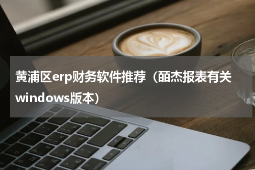 黄浦区erp财务软件推荐（皕杰报表有关windows版本）