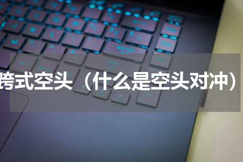 跨式空头（什么是空头对冲）