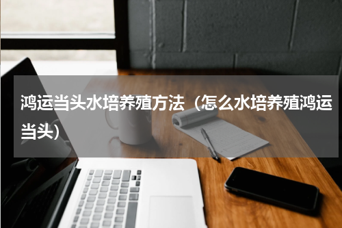 鸿运当头水培养殖方法（怎么水培养殖鸿运当头）