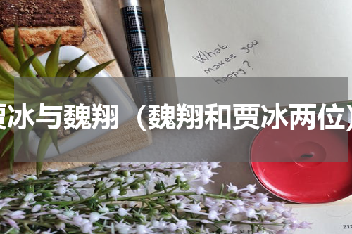 贾冰与魏翔（魏翔和贾冰两位）