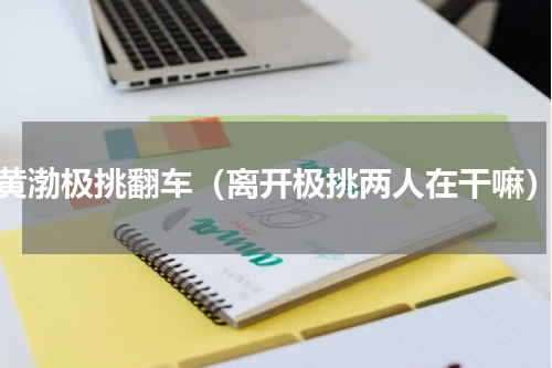 黄渤极挑翻车（离开极挑两人在干嘛）