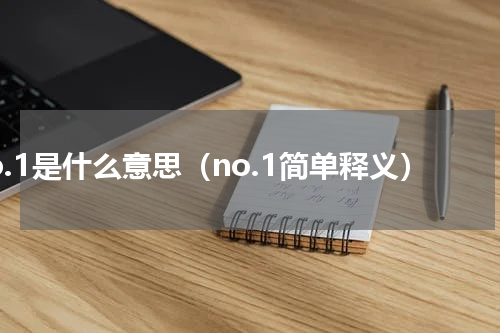 no.1是什么意思（no.1简单释义）