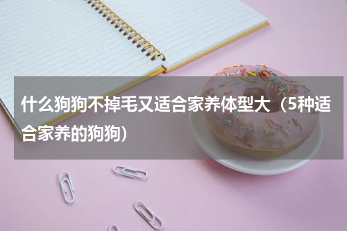 什么狗狗不掉毛又适合家养体型大（5种适合家养的狗狗）