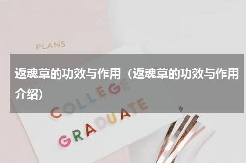 返魂草的功效与作用（返魂草的功效与作用介绍）