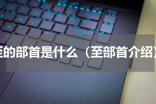 至的部首是什么（至部首介绍）