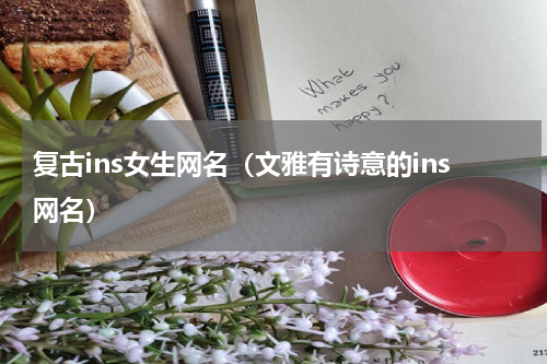 复古ins女生网名（文雅有诗意的ins网名）