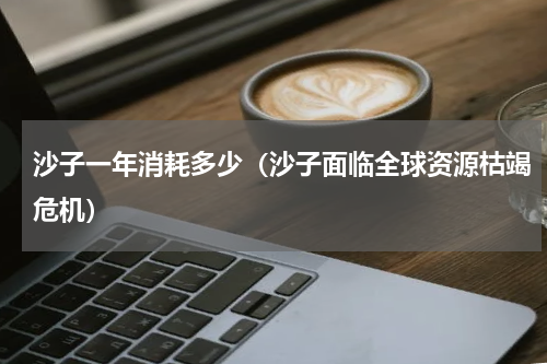 沙子一年消耗多少（沙子面临全球资源枯竭危机）