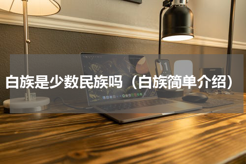 白族是少数民族吗（白族简单介绍）