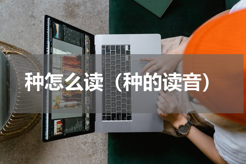 种怎么读（种的读音）