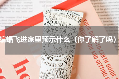 蝙蝠飞进家里预示什么（你了解了吗）