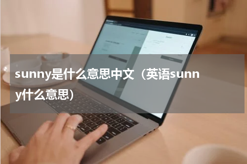 sunny是什么意思中文（英语sunny什么意思）