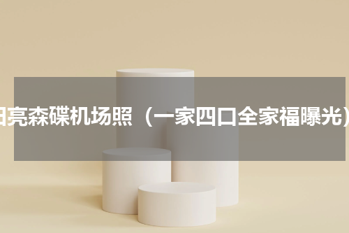 田亮森碟机场照（一家四口全家福曝光）