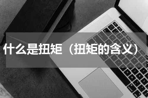 什么是扭矩（扭矩的含义）
